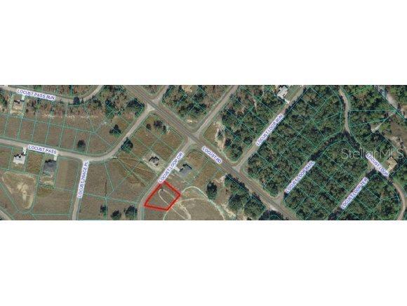Locust Cr Loop, Ocala, FL 34472