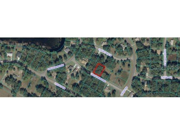 Locust Ps Run, Ocala, FL 34472