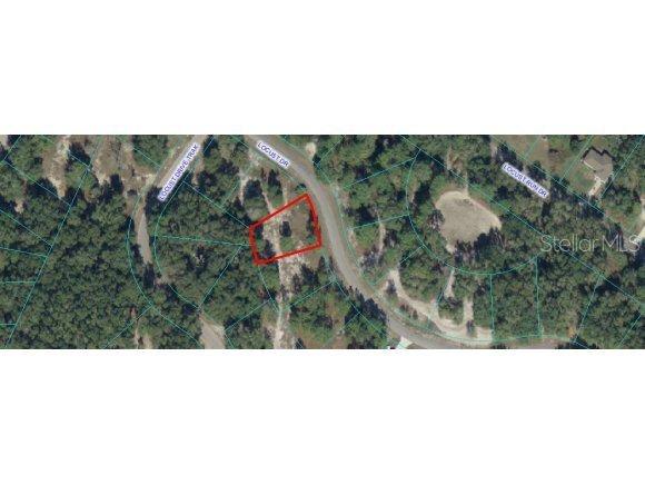 Locust Dr., Ocala, FL 34472