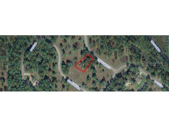 Locust Dr Ct., Ocala, FL 34472