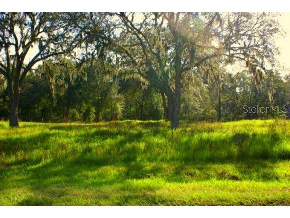 11770 NW 35 St., Ocala, FL 34482