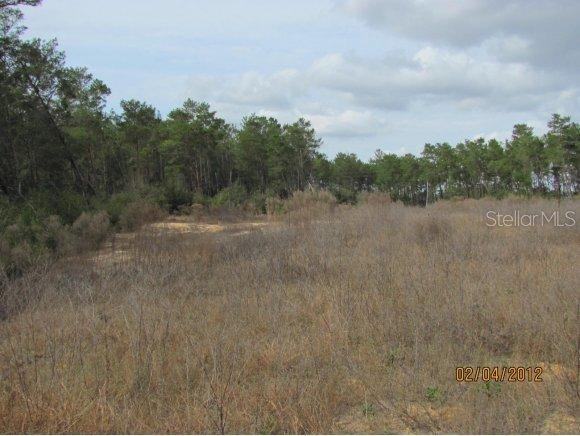SW 108 Pl., Ocala, FL 34476