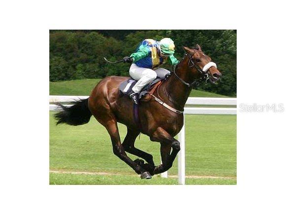 11375 NW 21 St., Ocala, FL 34482