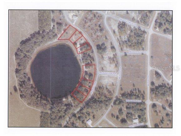 178 Malauka Loop, Ocklawaha, FL 32179