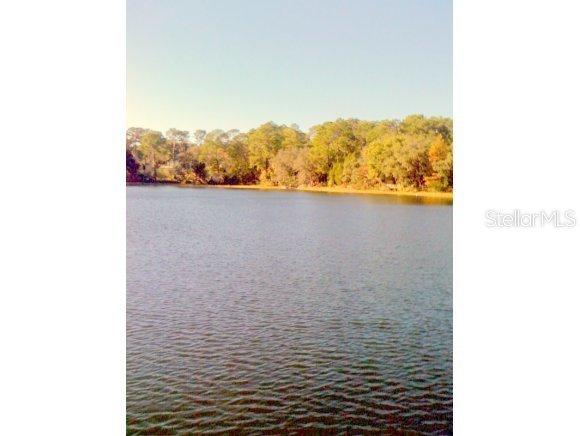 SE 103 Street Rd., Ocklawaha, FL 32179