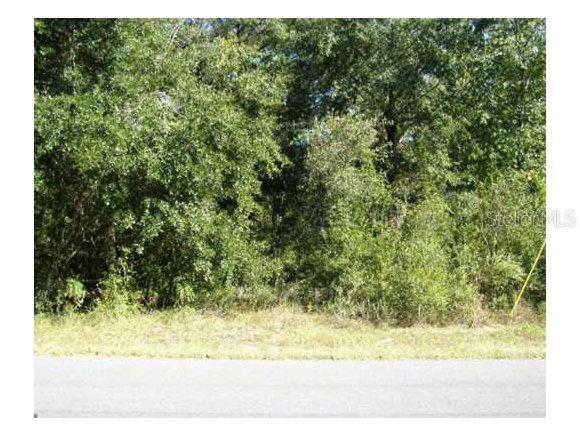 SE 87 Ct., Summerfield, FL 34491