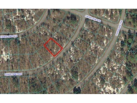 Fisher Trk Ln., Ocklawaha, FL 32179