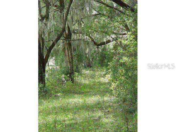 SE 67 Pl., Morriston, FL 32668