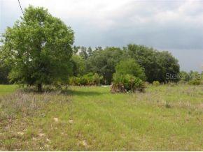 16135 SE 112 Pl Rd., Ocklawaha, FL 32179