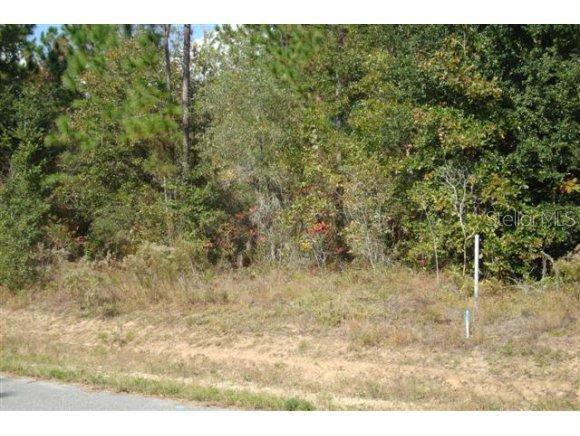 SE 161 St., Summerfield, FL 34491