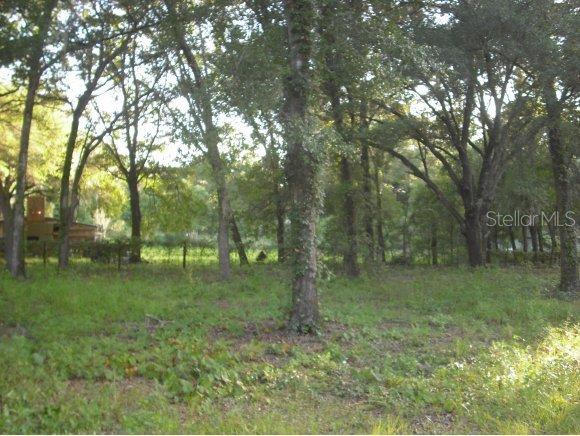 12098 SE 139th Ct., Ocklawaha, FL 32179