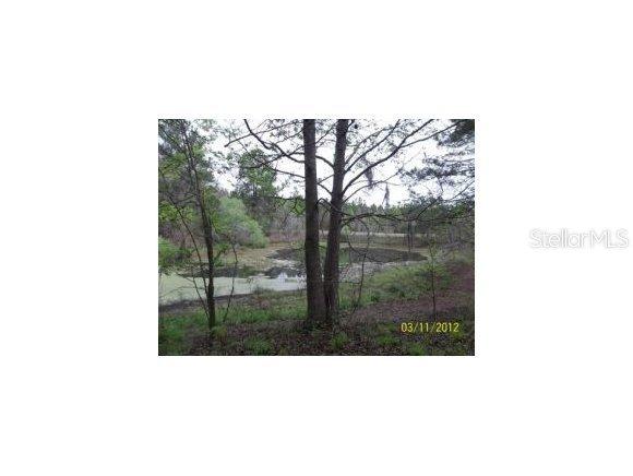10115 NW 21 St., Ocala, FL 34482