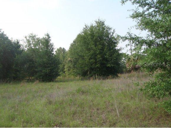 SE Cnty 25 Rd., Belleview, FL 34420