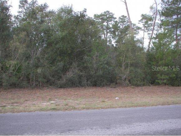 SW 33rd Ct Rd., Ocala, FL 34473