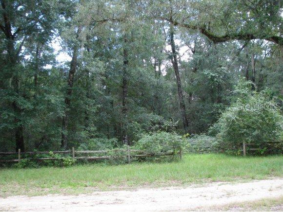 SE 7 Ln., Williston, FL 32686
