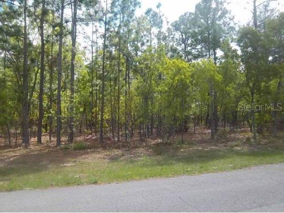 SW 75 Ct., Ocala, FL 34473