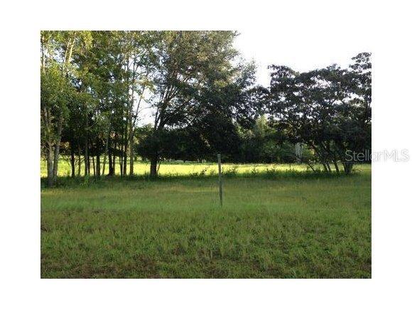 W Highway 318, Reddick, FL 32686