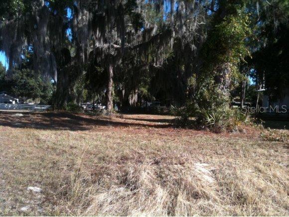 SE 138 Ave., Ocklawaha, FL 32179