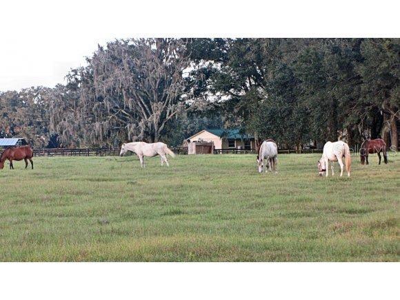 NE 181 Ave., Williston, FL 32696