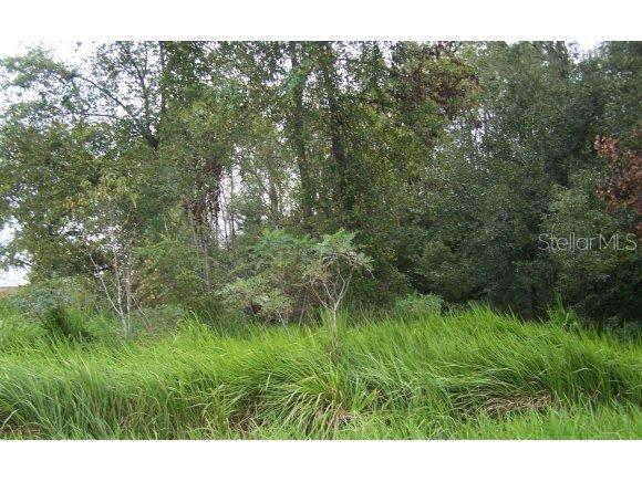 50 Laurel Ct., Ocala, FL 34480