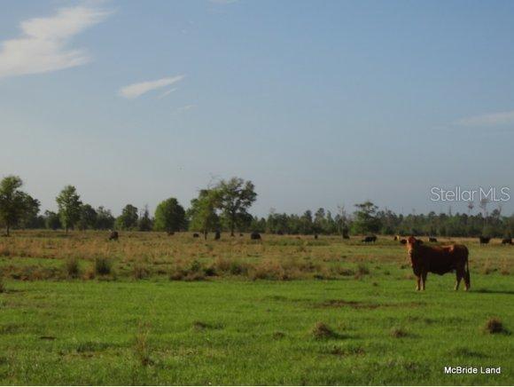 415 NE Millican Rd., Palatka, FL 32177