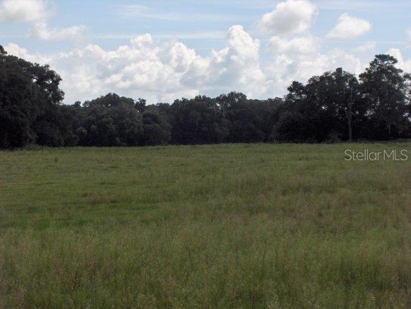 15451 NE 75th St., Williston, FL 32696