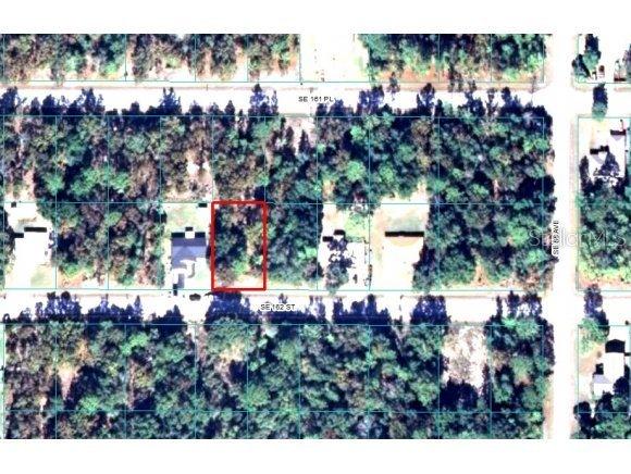 SE 162 Ct., Summerfield, FL 34483