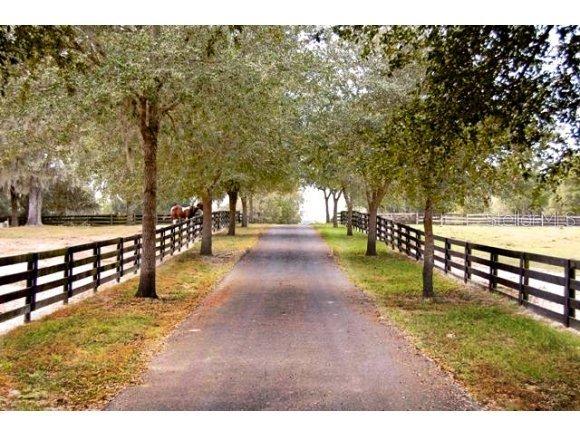 1320 SW 140th Ave., Ocala, FL 34481