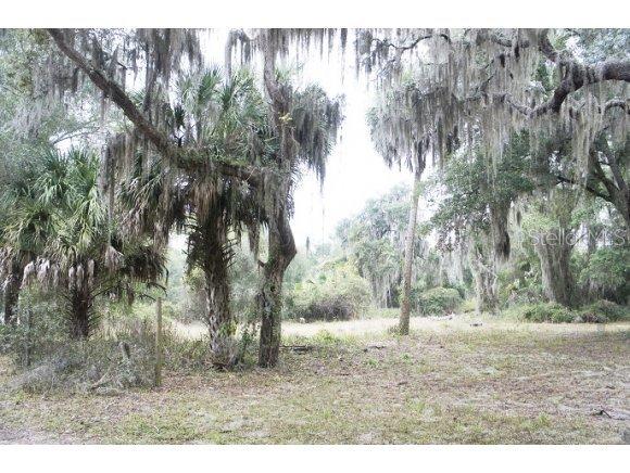 SE 141 Ave Rd., Ocklawaha, FL 32179