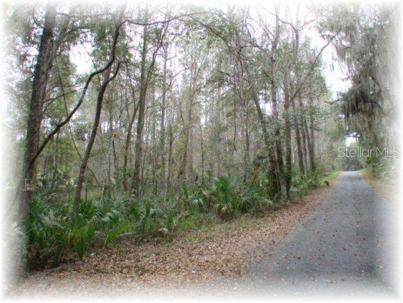 NW 202 Pl., Mcintosh, FL 32664