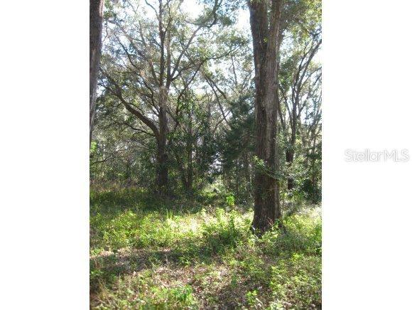 NW 2nd Ave., Williston, FL 32696