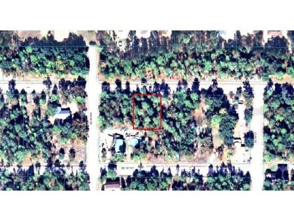 SE 160 Pl., Summerfield, FL 34491