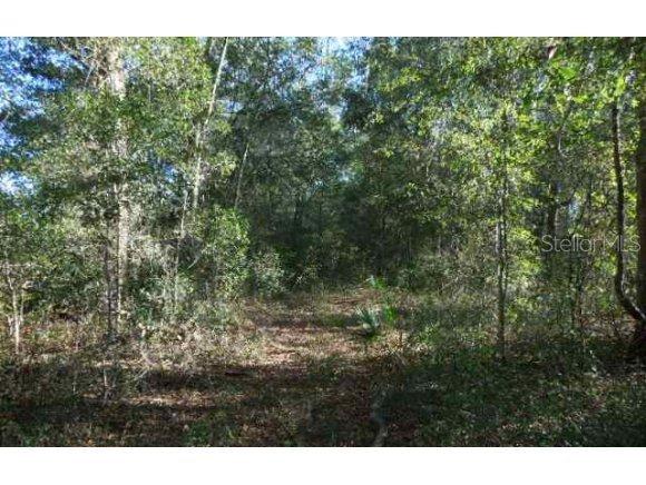 NW 131 Ct., Ocala, FL 34482