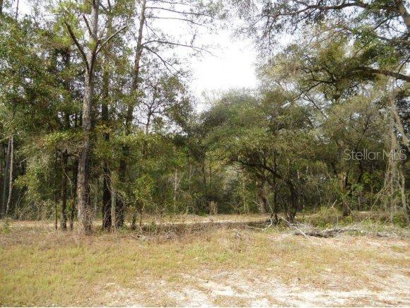 San Pedro Blvd., Dunnellon, FL 34432