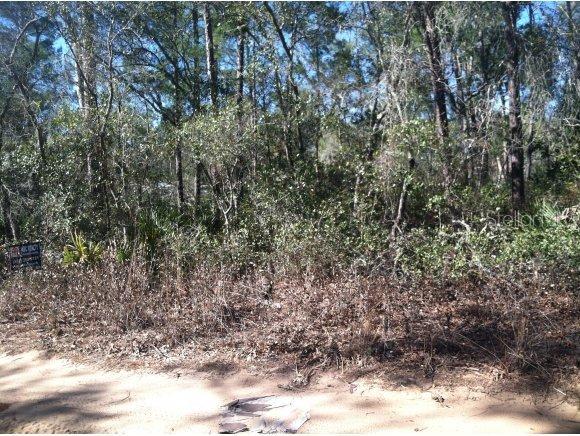 NE 204 Ft Pl., Fort Mccoy, FL 32134