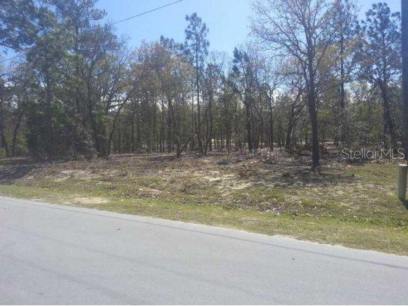 SE 159 Ln., Summerfield, FL 34491