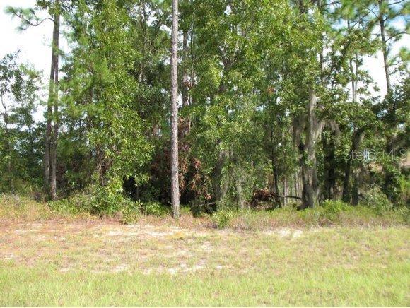 TBA SW Tba 58 Cir., Ocala, FL 34473