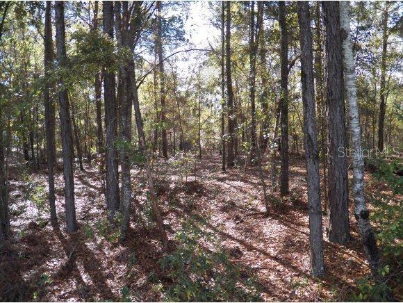 00 SW 186 Cir., Dunnellon, FL 34432