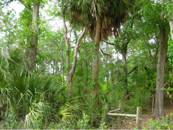 lot 3 Lot 3 10 St., Williston, FL 32696