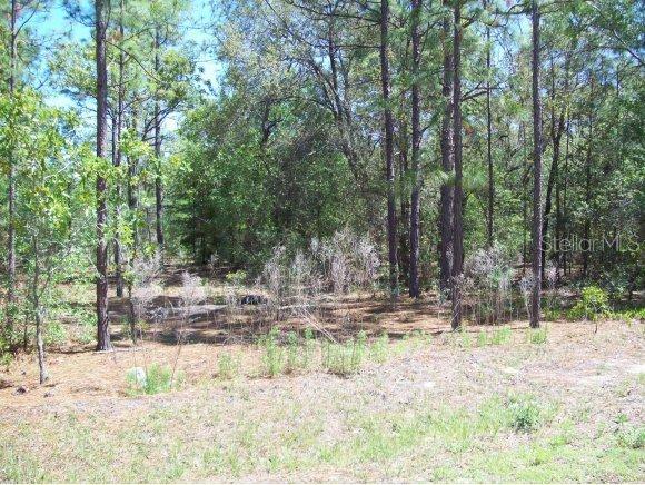 SE 161 St., Summerfield, FL 34491