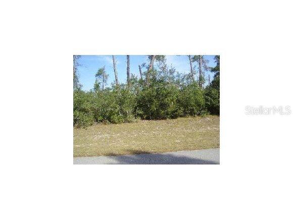 00 SW 146 Pl Rd., Ocala, FL 34473