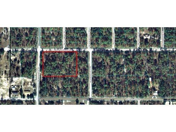 00 SW Woodland Ave., Dunnellon, FL 34431