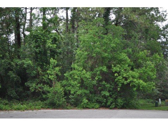 NW 81 Ct., Ocala, FL 34482