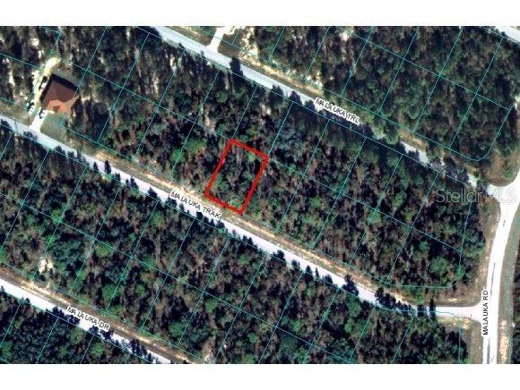 00 Malauka Trk, Ocklawaha, FL 32179