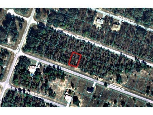 00 Malauka Radl, Ocklawaha, FL 32179