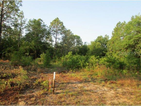 SE 160 Pl., Summerfield, FL 34491