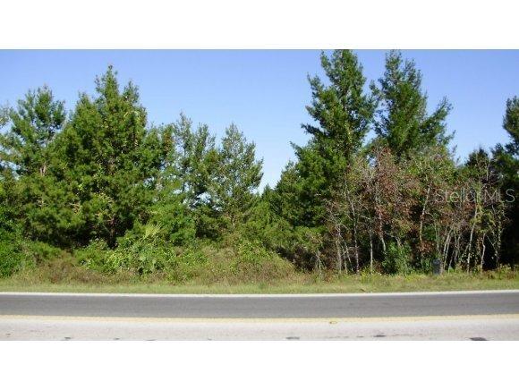SE 162 Lots Avail St., Summerfield, FL 34491