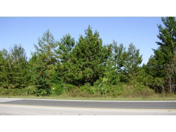 SE 162 St., Summerfield, FL 34491