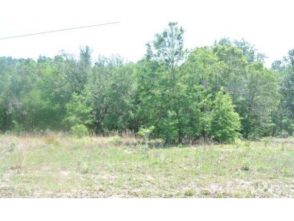 NW 52 Ct., Ocala, FL 34482
