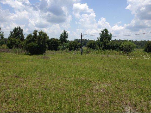 12100 NE 230 Null St., Fort Mccoy, FL 32134